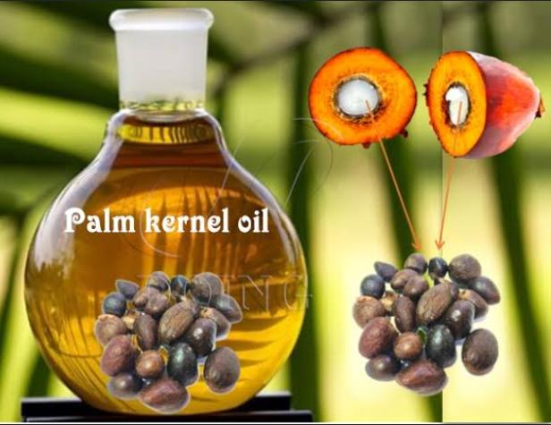Palm Oil